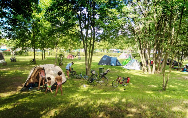 Belebter Zeltplatz mit viel Grün und schattigen Bäumen