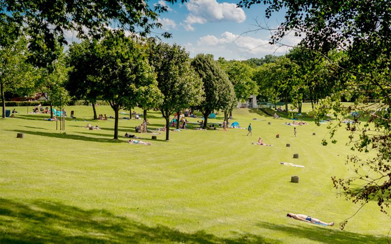 Große Liegewiese mit schattenspendenden Bäumen